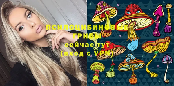 сатива Алзамай