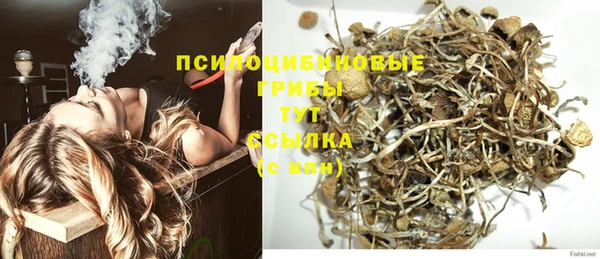 сатива Алзамай