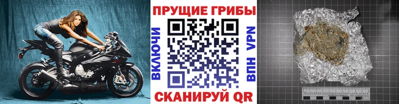купить наркотики сайты  Качканар  Псилоцибиновые грибы GOLDEN TEACHER 